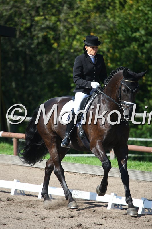 009M4637_Rainsborough_Dressur S Nachwuchs.JPG